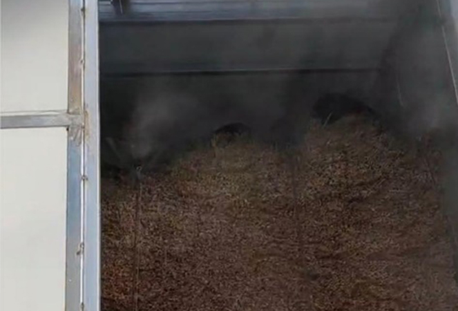 Ningguo Kuntai Bambu e Madeira Co., Ltd.