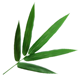 Ningguo Kuntai Bambu e Madeira Co., Ltd.